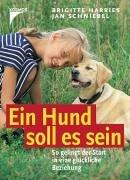 Ein Hund soll es sein. Sonderausgabe. So gelingt der Start in eine glückliche Beziehung