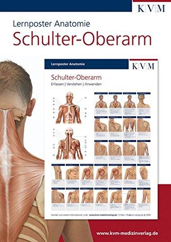 Lernposter Anatomie: Region Schulter - Oberarm (Die Muskelbuch-Reihe)