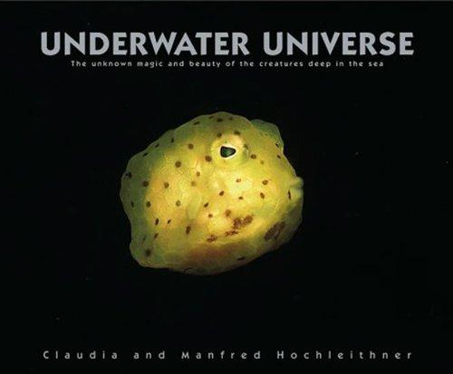 Underwater Universe: The Unknown Magic and Beauty of the Creatures Deep in the Sea