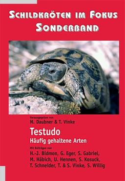 Schildkröten im Fokus - Sonderband: Testudo - Häufig gehaltene Arten