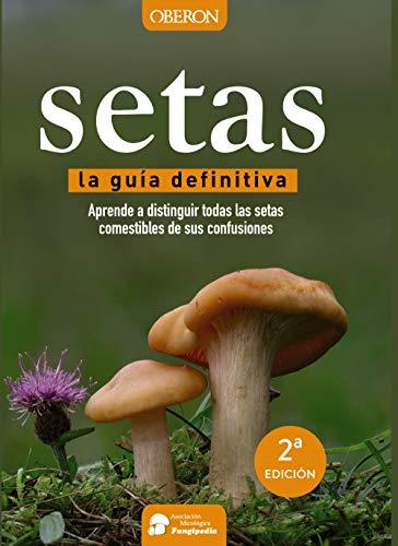 Setas (Libros singulares)