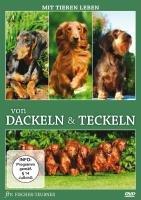 Von Dackeln & Teckeln