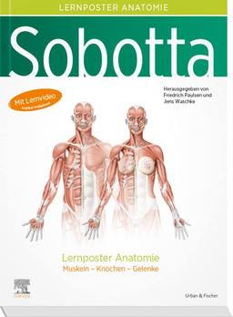 Sobotta Lernposter Anatomie: Muskeln - Knochen - Gelenke