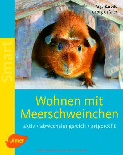 Wohnen mit Meerschweinchen: Aktiv - abwechslungsreich  - artgerecht