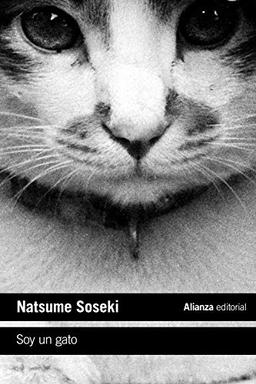 Soy un gato (El libro de bolsillo - Literatura, Band 5251)