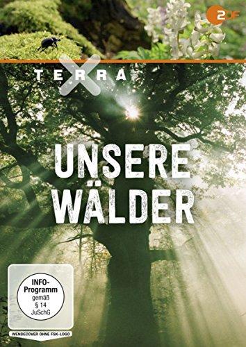 Terra X: Unsere Wälder