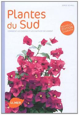 Plantes du Sud : comment les choisir et les cultiver rapidement