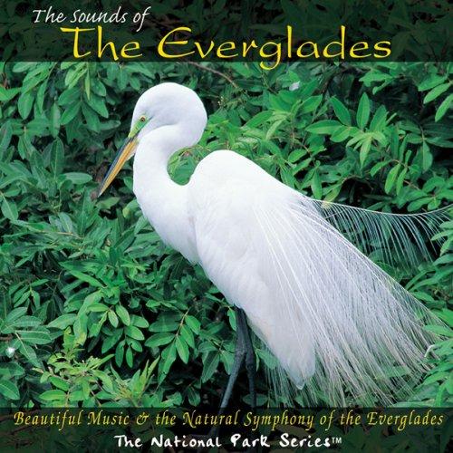 Sounds of the Everglades