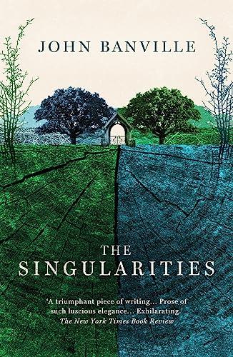 The Singularities: A Novel