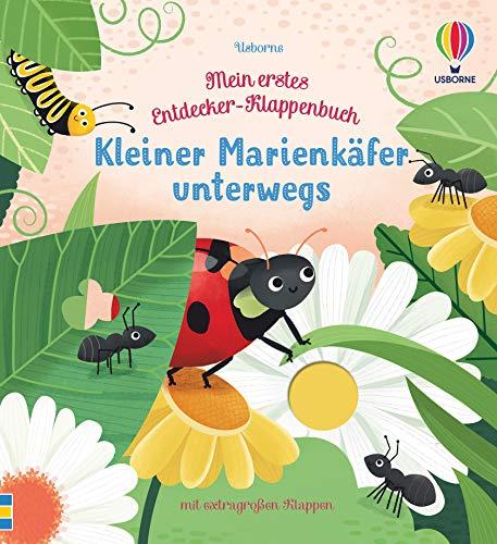 Mein erstes Entdecker-Klappenbuch: Kleiner Marienkäfer unterwegs: ab 10 Monaten