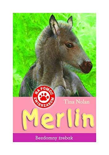 Merlin. Bezdomny zrebak