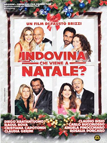 Indovina chi viene a Natale? [IT Import]