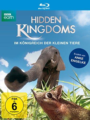 Hidden Kingdoms - Im Königreich der kleinen Tiere [Blu-ray]