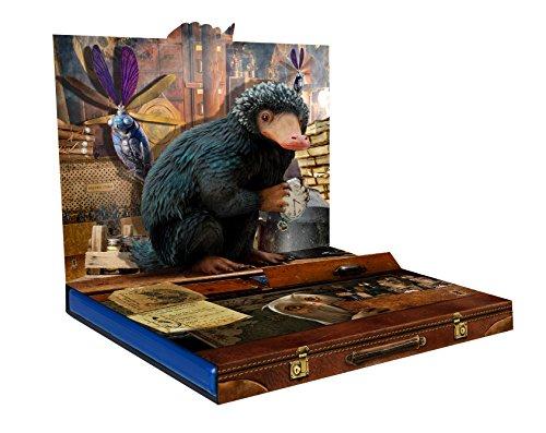 Phantastische Tierwesen und wo sie zu finden sind (Fantastic Beasts and Where to Find Them, Spanien Import, siehe Details für Sp