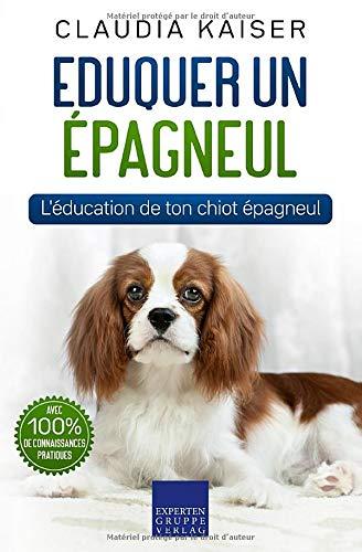 Eduquer un épagneul: L'éducation de ton chiot épagneul