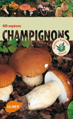 Champignons : 420 espèces