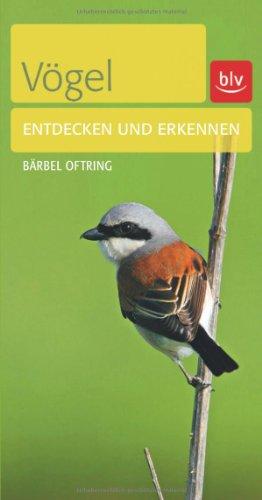 Vögel: Entdecken und erkennen