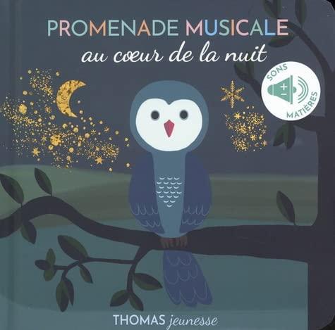 Promenade musicale au coeur de la nuit