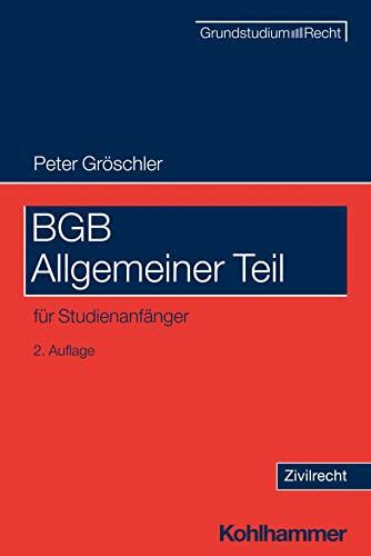 BGB Allgemeiner Teil: für Studienanfänger (Grundstudium Recht)