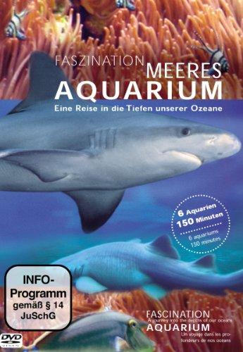 Faszination Meeres Aquarium