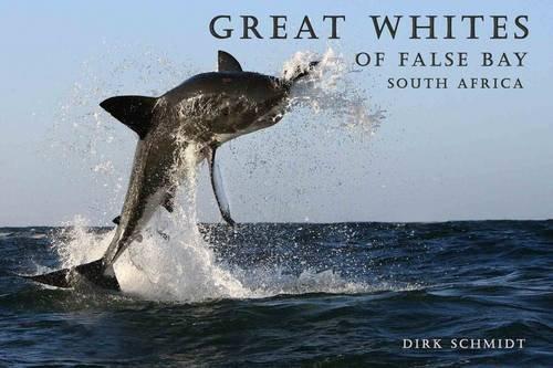 Great Whites of False Bay - South Africa