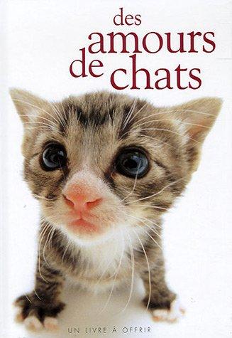 Des amours de chats