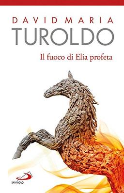 Il Fuoco di Elia profeta. Omelie 1989-1990. Testamento spirituale (Dimensioni dello spirito, Band 335)