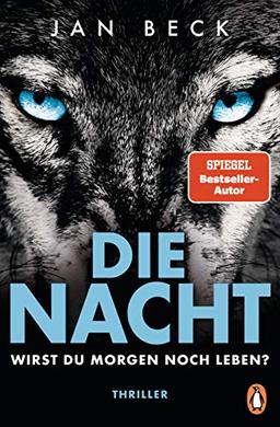 Die Nacht – Wirst du morgen noch leben?: Thriller - Der neue rasante Bestseller! (Björk und Brand Reihe, Band 2)