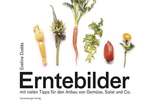 Erntebilder: mit vielen Tipps für den Anbau von Gemüse, Salat und Co.