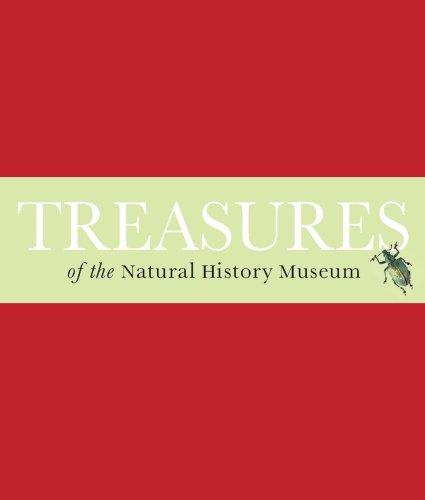 Treasures of the Natural History Museum