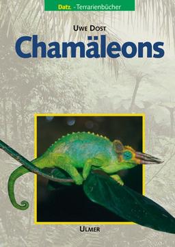 Chamäleons