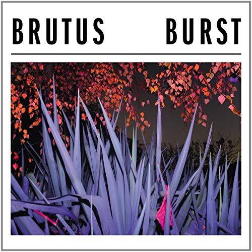 Burst [Vinyl LP]