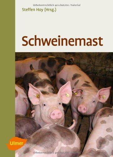 Schweinemast