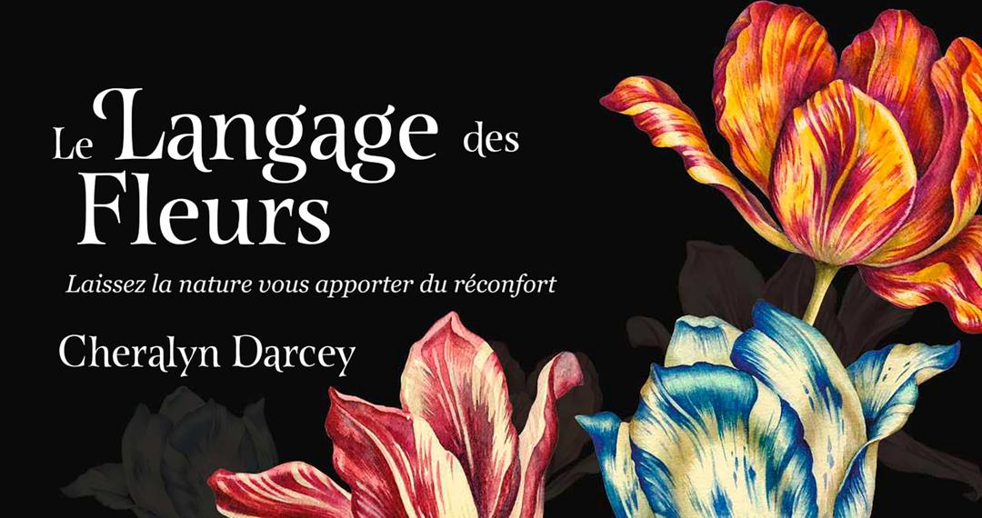 Le langage des fleurs : laissez la nature vous apporter du réconfort