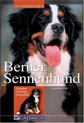 Berner Sennenhund. Charakter, Erziehung, Gesundheit