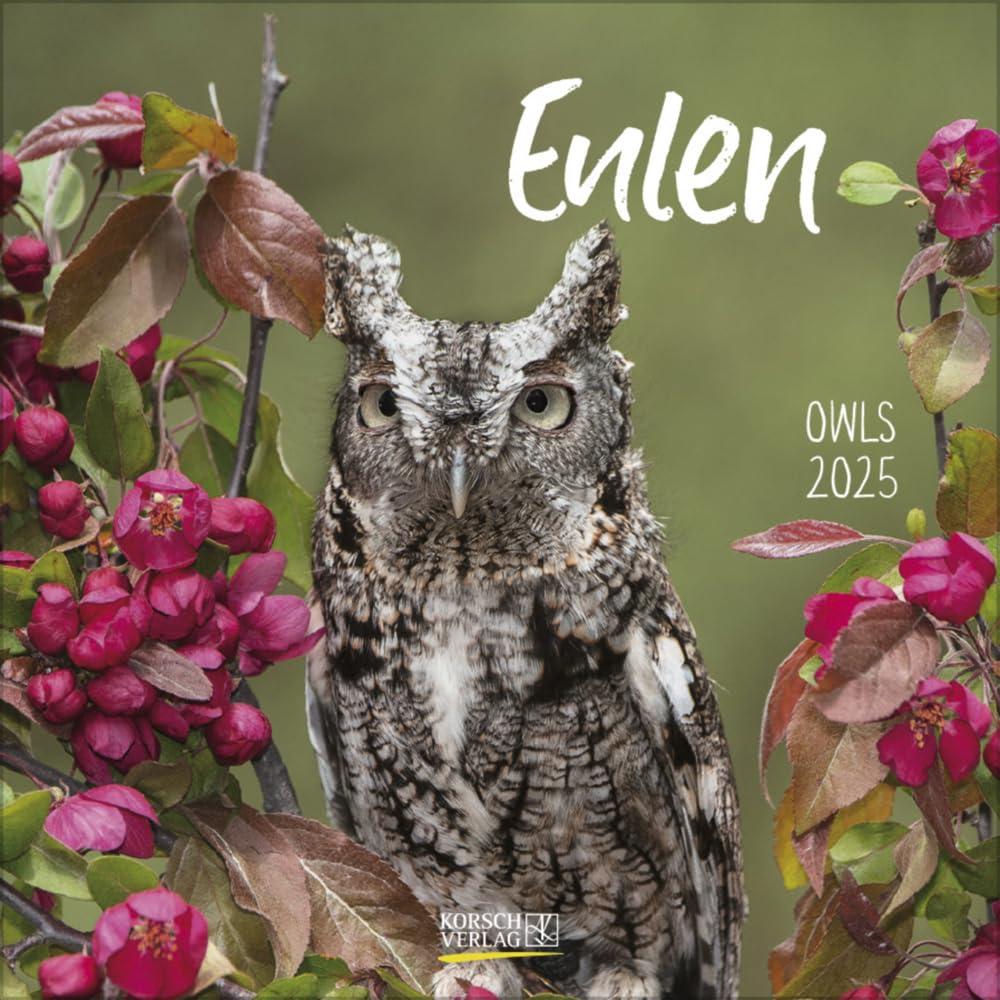 Eulen 2025: Broschürenkalender mit Ferienterminen. Eulen, Jäger der Nacht. 30 x 30 cm