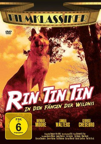 Rin Tin Tin: In den Fängen der Wildnis