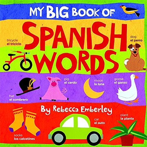 My Big Book of Spanish Words