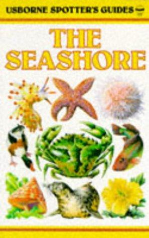 Seashore (Spotter's Sticker Books)