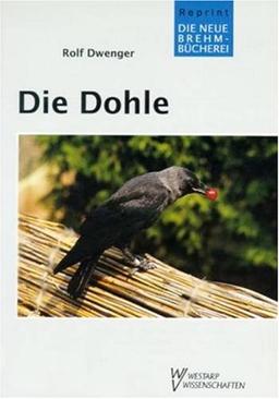 Die Dohle. Corvus monedula