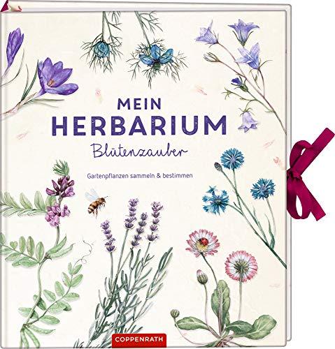 Mein Herbarium: Blütenzauber: Gartenpflanzen sammeln und bestimmen