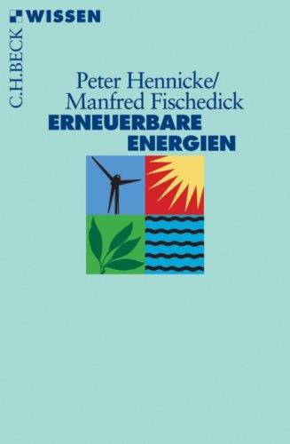 Erneuerbare Energien: Mit Energieeffizienz zur Energiewende