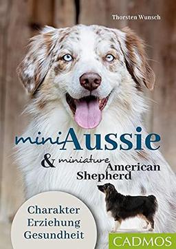 Mini Aussie und Miniature American Shepherd: Charakter – Erziehung - Gesundheit