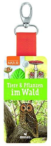 Expedition Natur - Tiere und Pflanzen im Wald