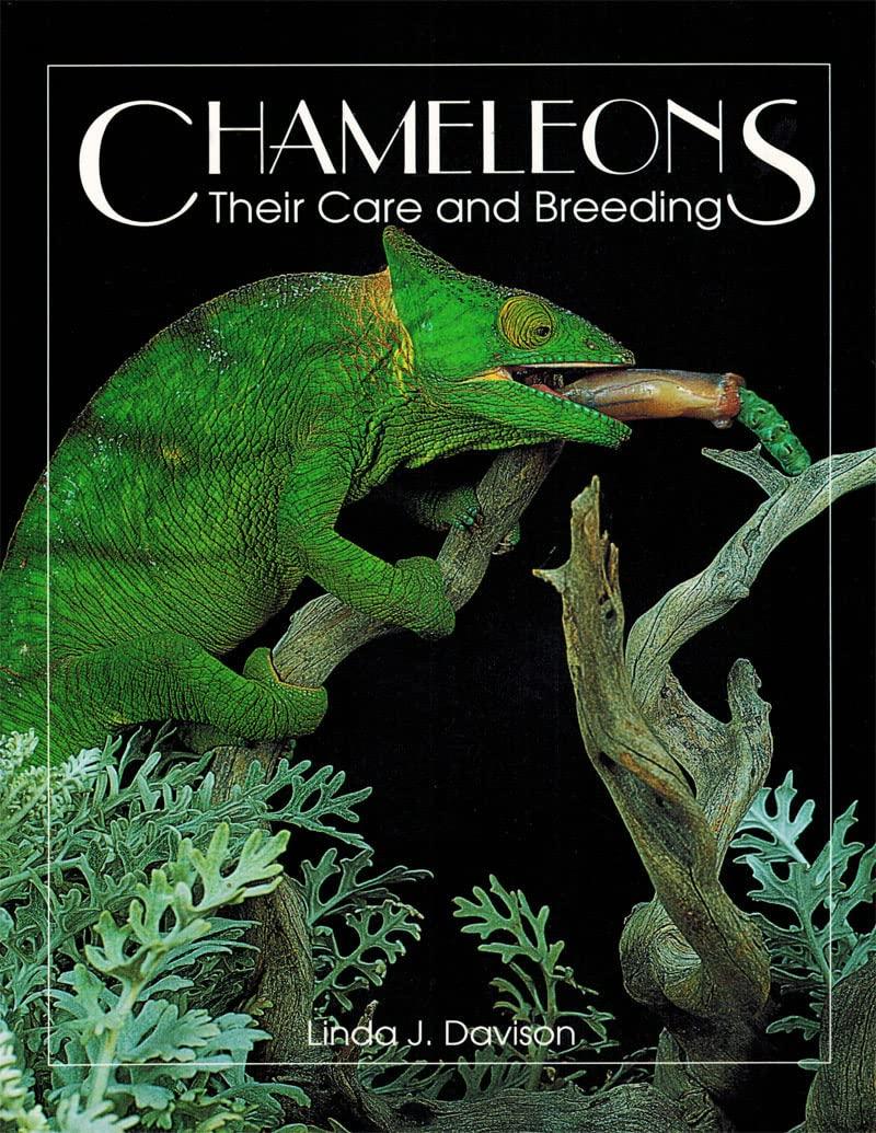 Chameleons: Their Care & Breeding: Their Care and Breeding