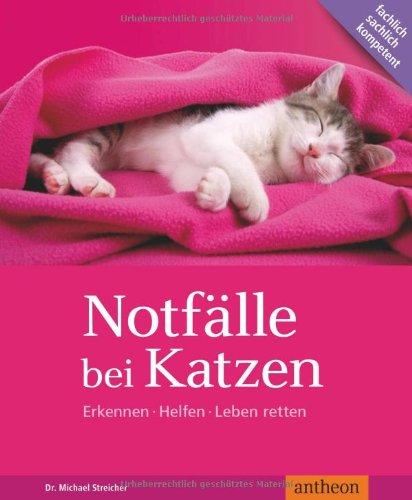 Notfälle bei Katzen: Erkennen Helfen Leben retten