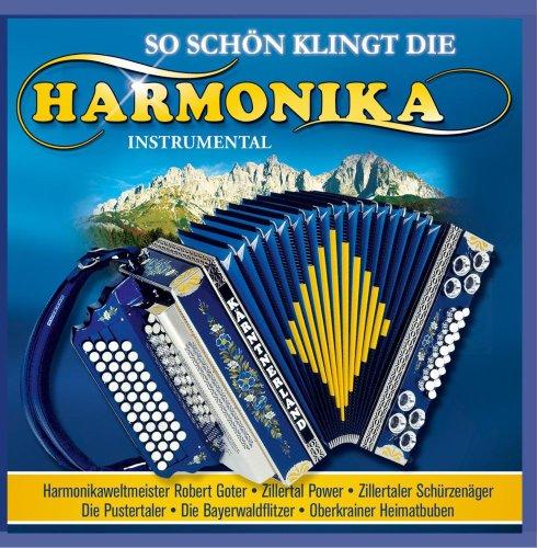 So schön klingt die Harmonika