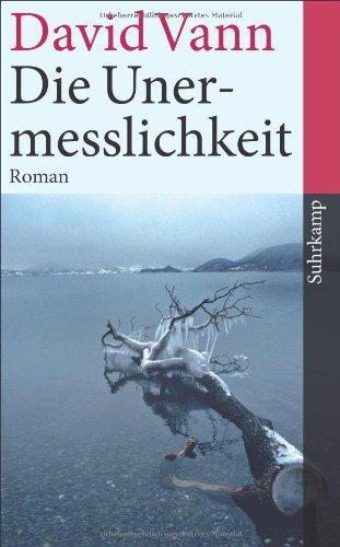 Die Unermesslichkeit: Roman (suhrkamp taschenbuch)