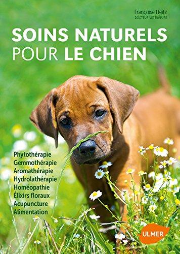 Soins naturels pour le chien