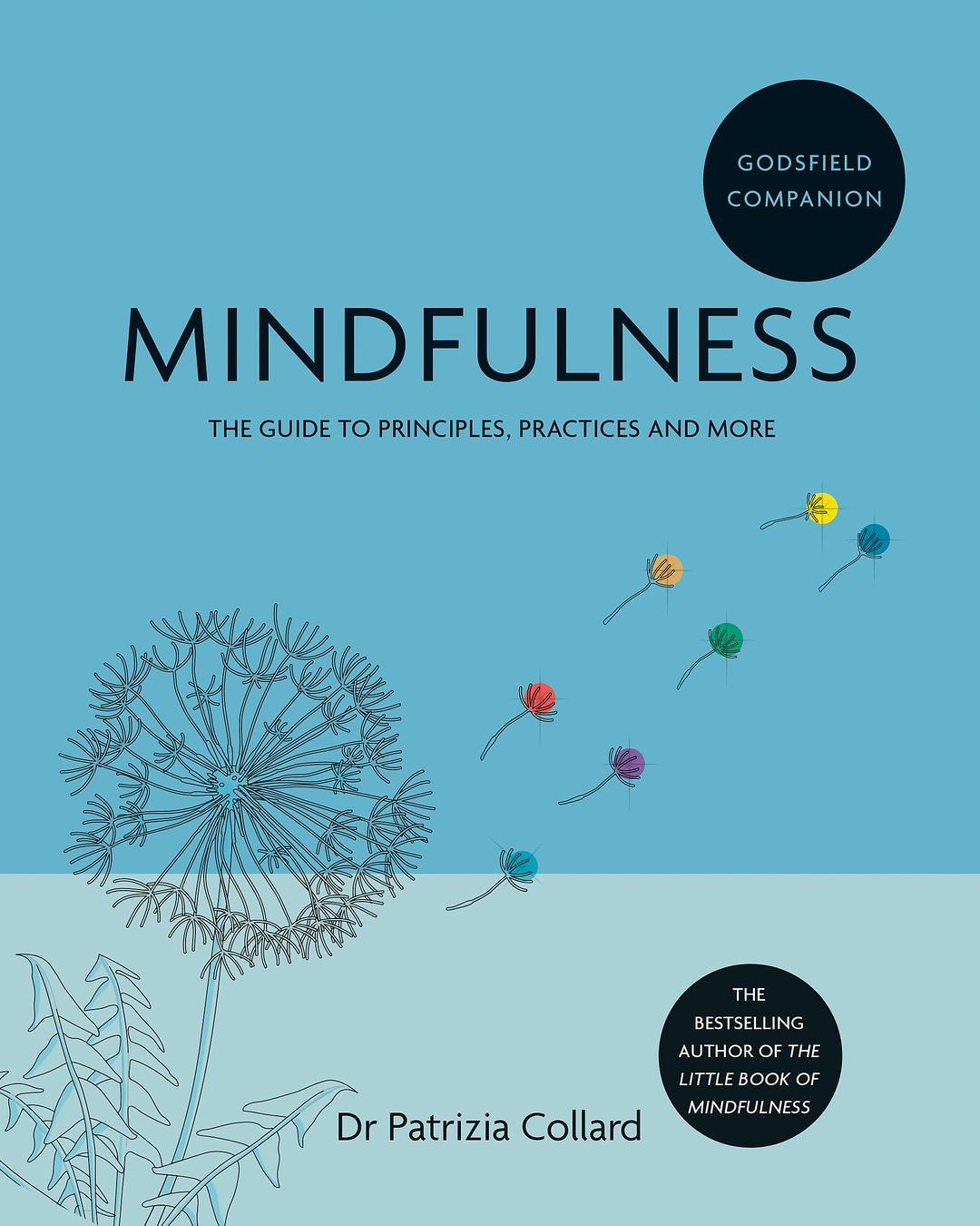 Godsfield Companion: Mindfulness: The guide to principles, practices and more